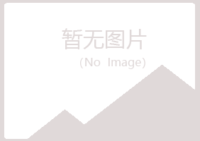 伊春带岭白山能源有限公司